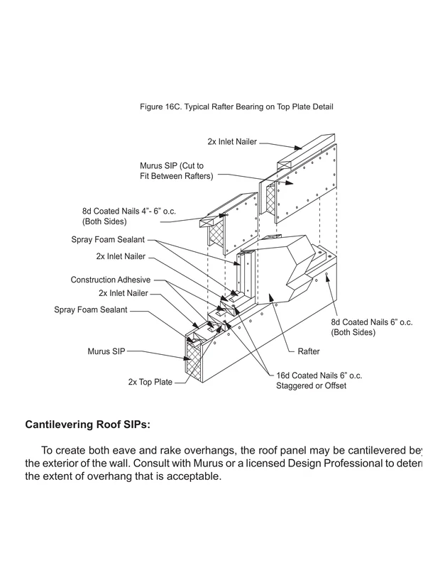 Typical Rafter Bearing on Top Plate Detail construction detail drawing
