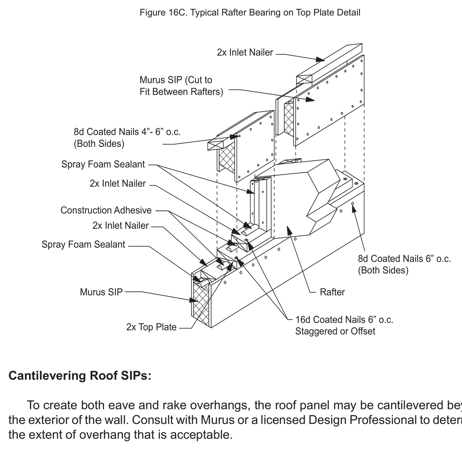 Typical Rafter Bearing on Top Plate Detail construction detail drawing with callouts