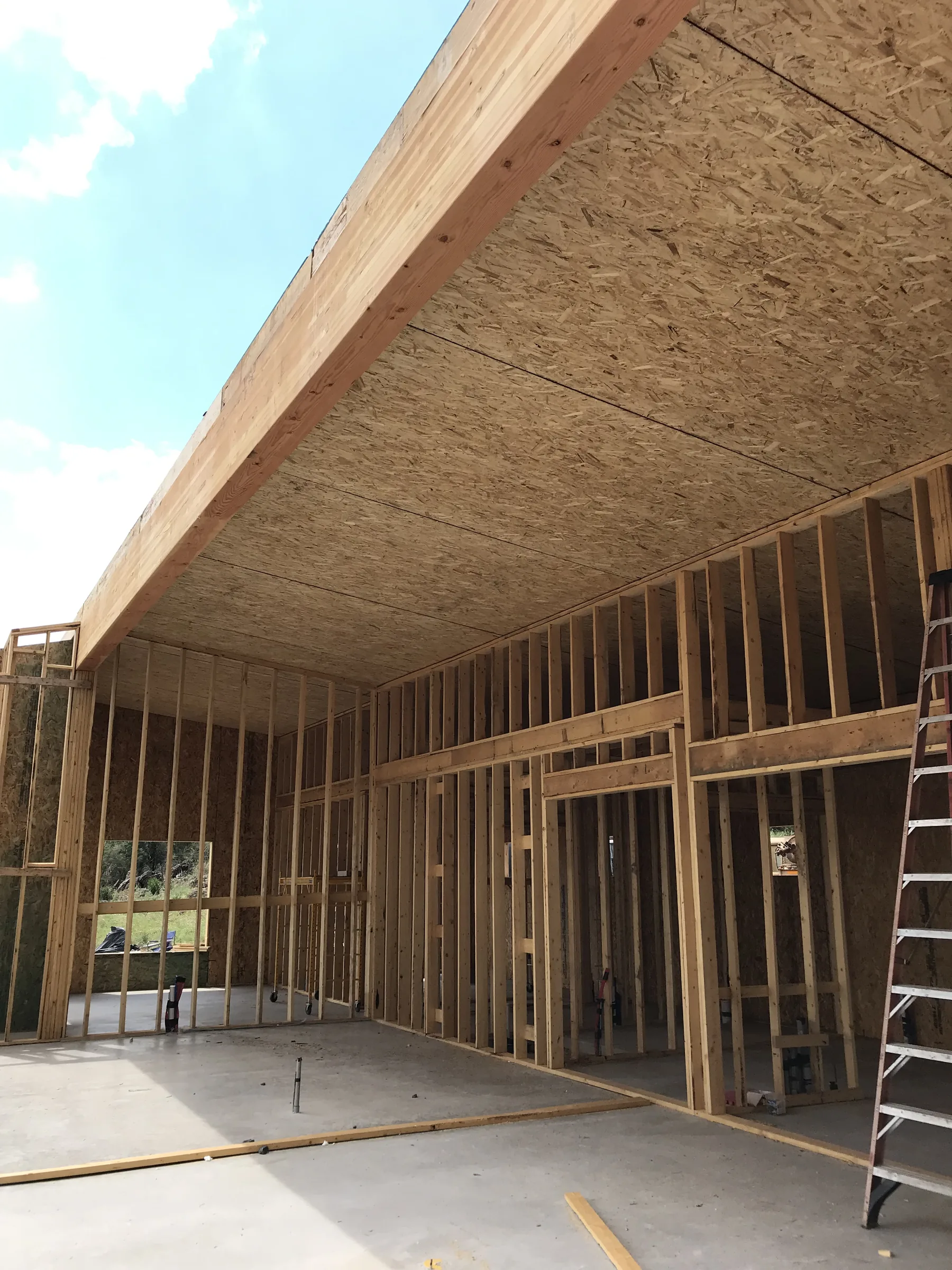 Design/Build Hunting Cabin — photograph 18 of 34