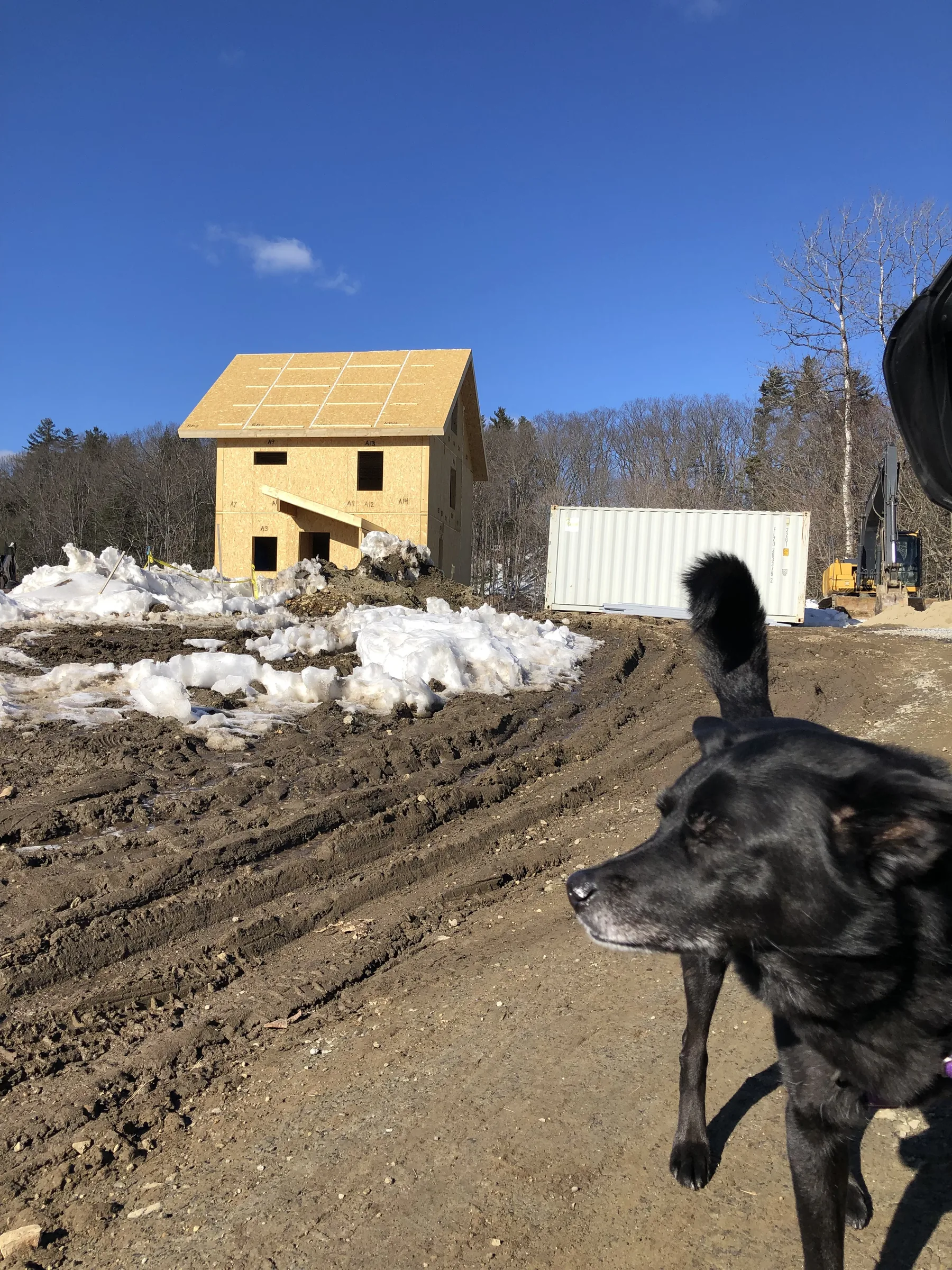 Passive House — photograph 6 of 6