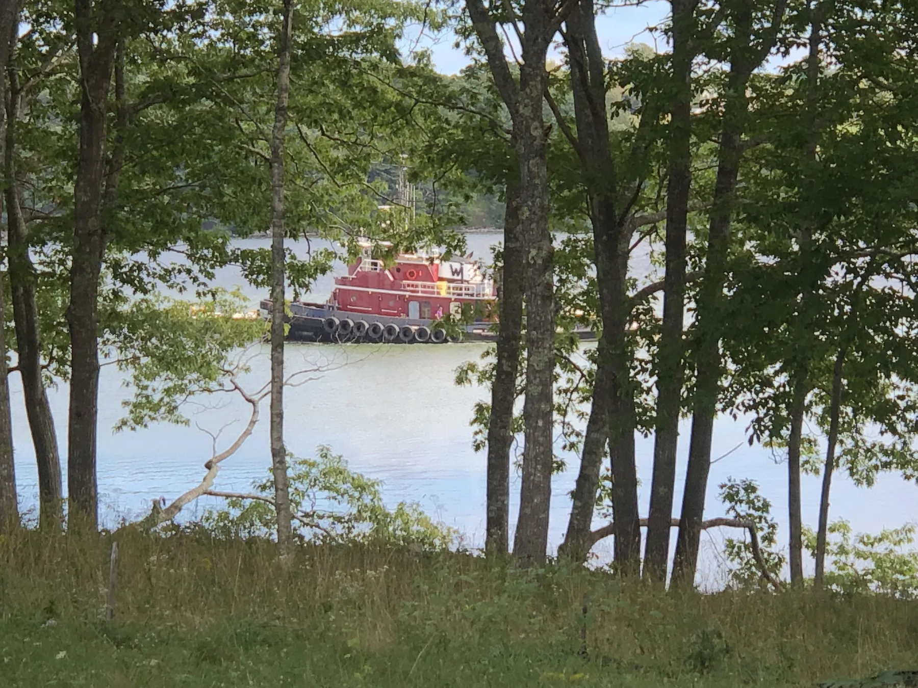River House — photograph 1 of 37