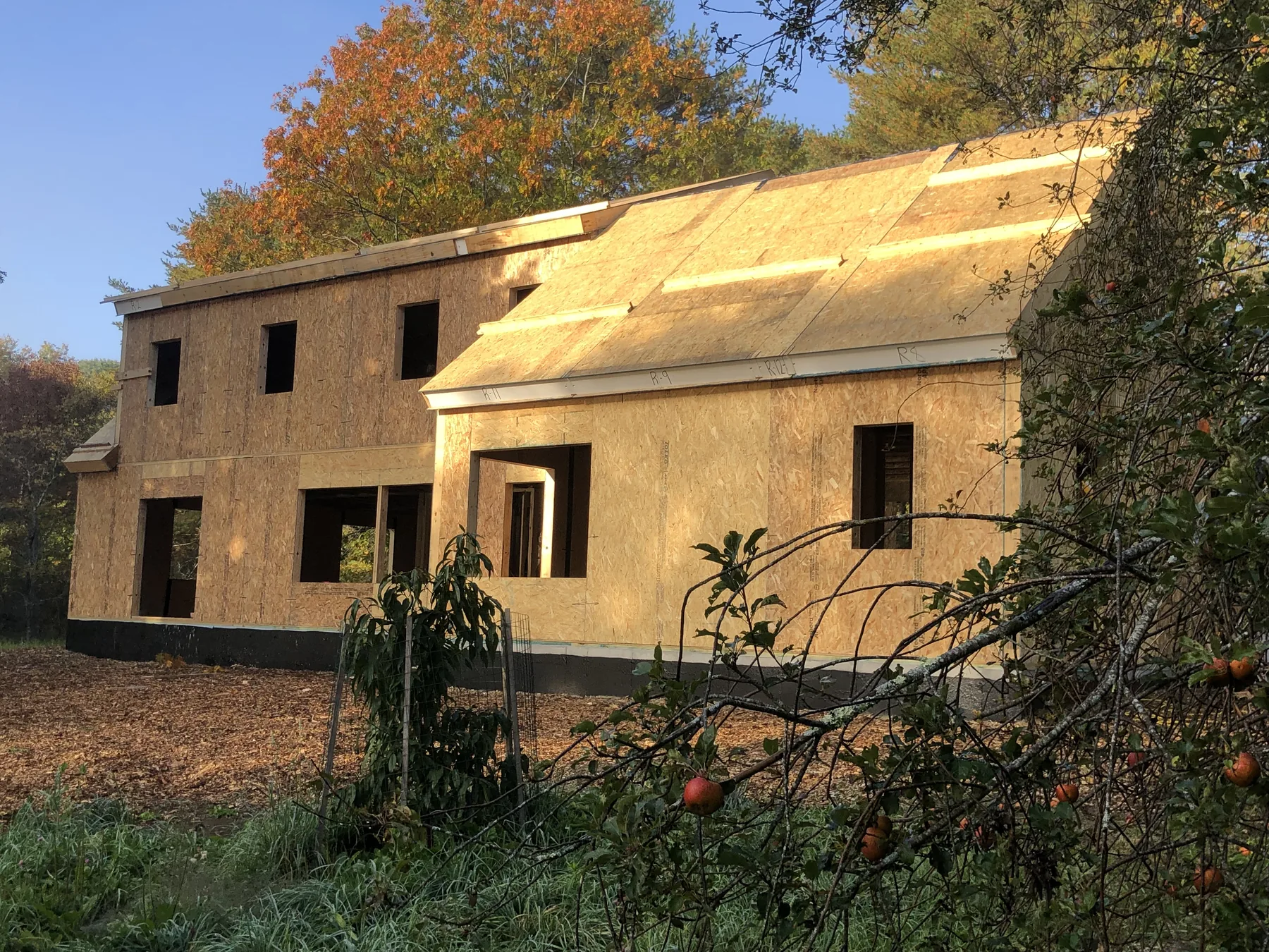 River House — photograph 26 of 37