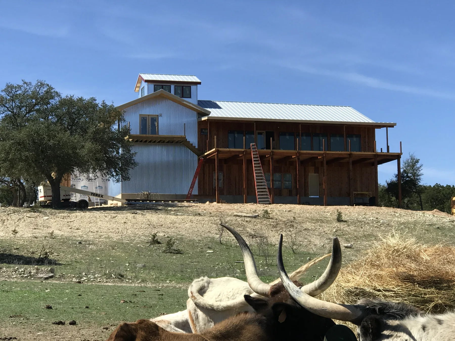 Shop of Dreams — photograph 22 of 22